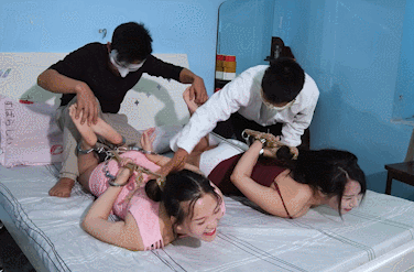 GIF.gif