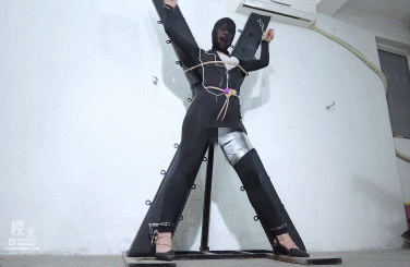 GIF.gif
